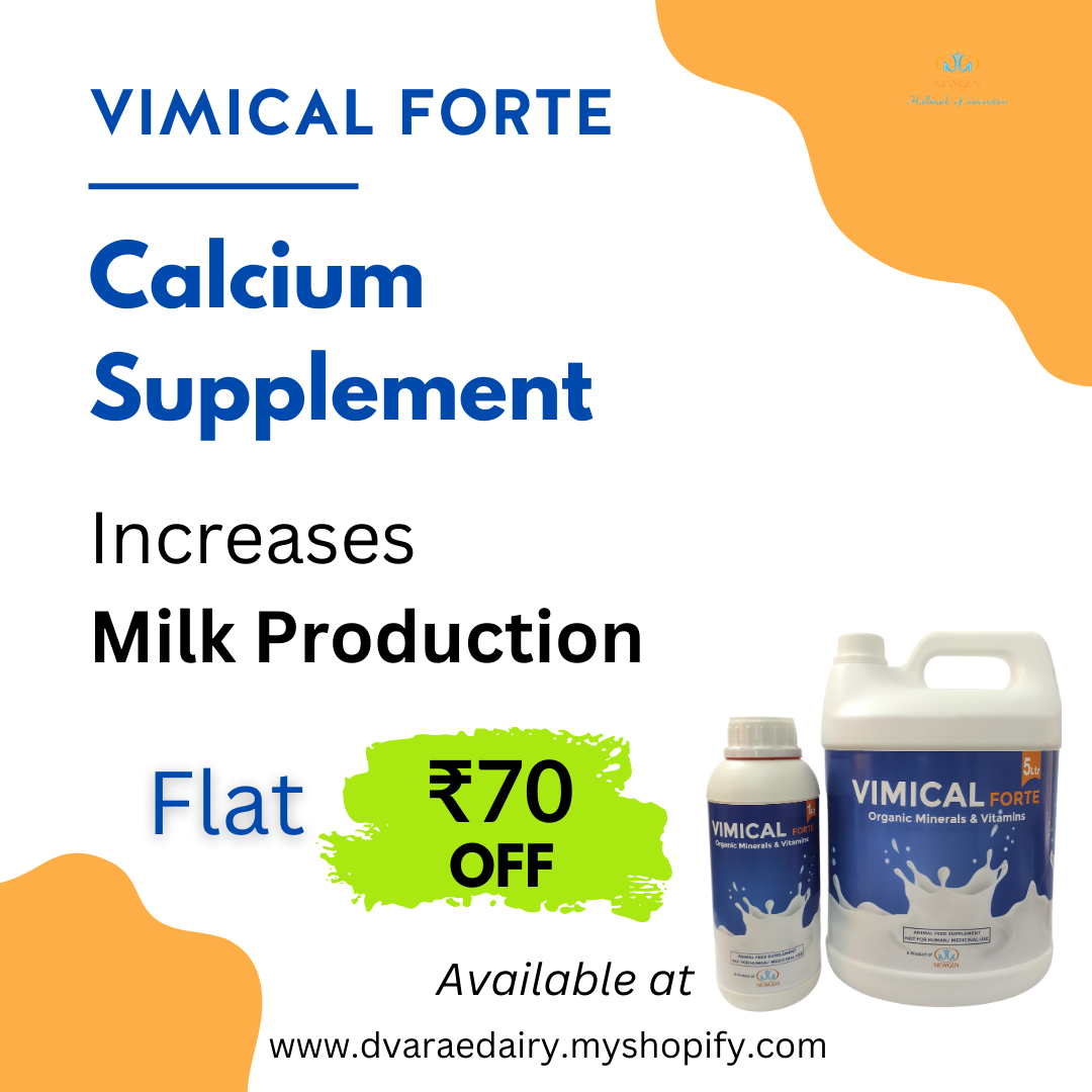 Vimical Forte | Calcium Supplement | 1L