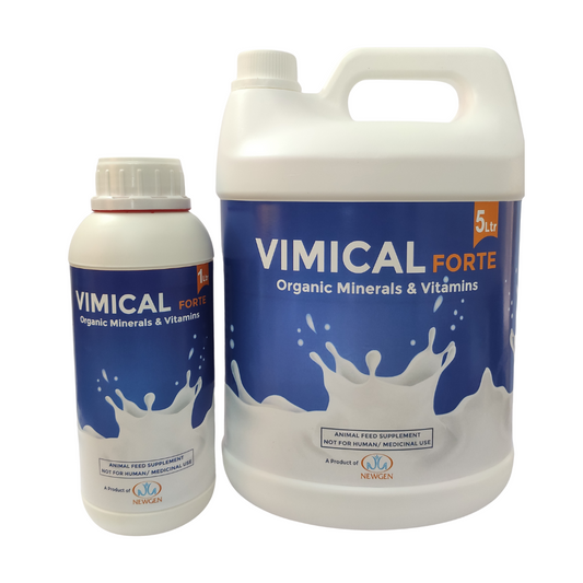 Vimical Forte | Calcium Supplement | 1L