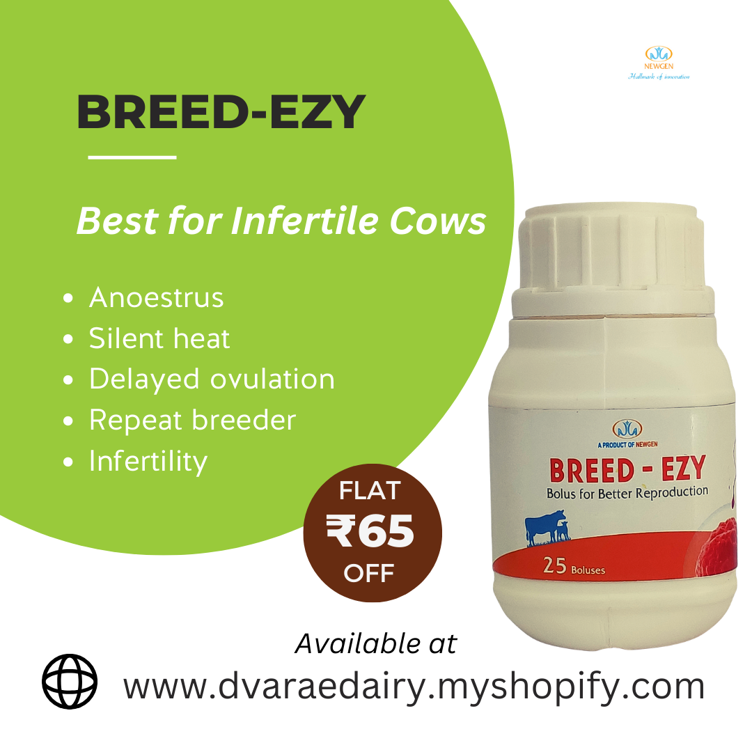 Breed Ezy | Better Reproduction for Cow | 1 Container (25 Bolus)