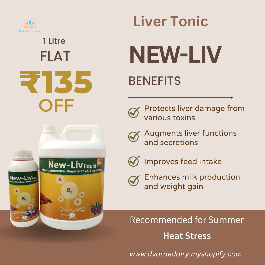 New Liv | Cattle Liver Tonic | Improves feed intake | 1L